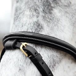 EQUINAVIA Horze Constance Padded Flash Snaffle Bridle- English Bridles