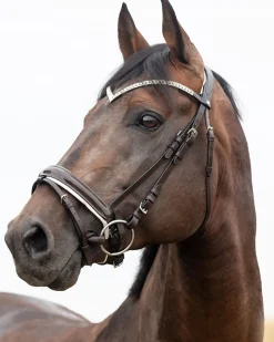 EQUINAVIA Horze Grayson Snaffle Bridle- English Bridles
