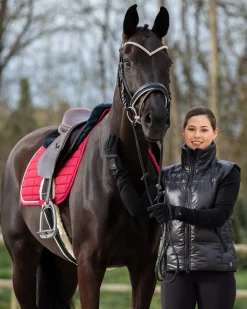 EQUINAVIA Horze Grayson Snaffle Bridle- English Bridles