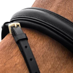 EQUINAVIA Horze Lester Snaffle Bridle- English Bridles