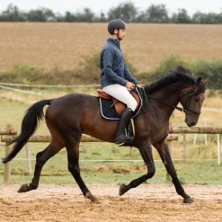EQUINAVIA Horze Men’s Grand Prix Full-Seat Breech with Silicone Grip- Men's Breeches