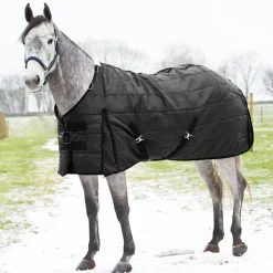 EQUINAVIA Horze Nevada Medium-Weight Stable Blanket- Stable Blankets