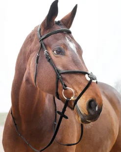 EQUINAVIA Horze Prescott Figure-8 Bridle- English Bridles