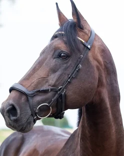EQUINAVIA Horze Stewart Bridle- English Bridles