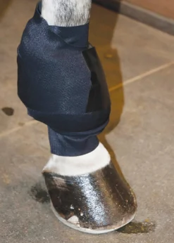MACKINNON Ice Horse® All-Purpose Wrap- Therapy|Hoof & Hock Boots