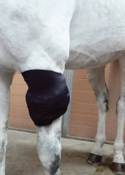 MACKINNON Ice Horse® All-Purpose Wrap- Therapy|Hoof & Hock Boots