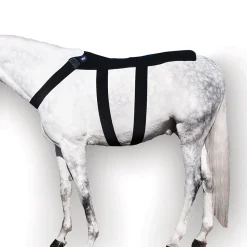 MACKINNON Ice Horse® Back Blanket- Therapy|Hoof & Hock Boots