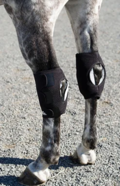 MACKINNON Ice Horse® Hock Wraps - Pair- Therapy|Hoof & Hock Boots