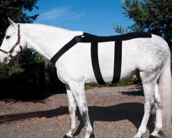 MACKINNON Ice Horse® Pony Back Blanket- Therapy|Hoof & Hock Boots