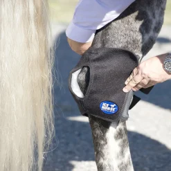 MACKINNON Ice Horse® Pony Hock Wrap- Therapy