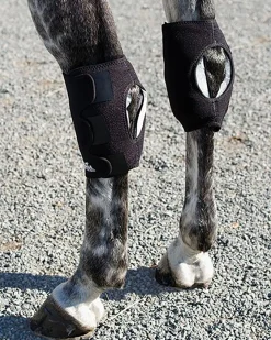 MACKINNON Ice Horse® Pony Hock Wrap – Pair- Therapy