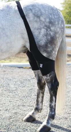 MACKINNON Ice Horse® Stifle Wraps- Therapy|Hoof & Hock Boots