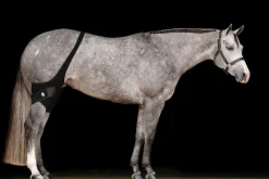 MACKINNON Ice Horse® Stifle Wraps- Therapy|Hoof & Hock Boots