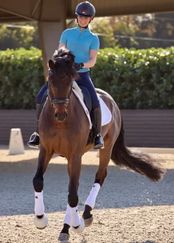 KIRSCH IconEQ™ Ladies’ Aurora Short Sleeve Shirt- Short Sleeve Shirts