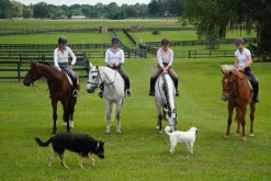 INT RIDING HELMET IRH® Equi-Pro Helmet with Sun Visor- Riding Helmets|Riding Helmets