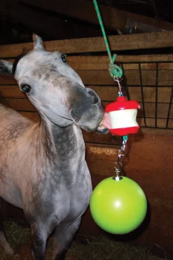 HORSEMEN S PRIDE Jolly Stall Snack System Horse Toy- Horse Toys|Stable & Stall Accessories