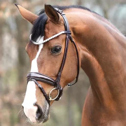 PEP-KAVALKADE Kavalkade Florina Bridle- English Bridles