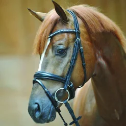 PEP-KAVALKADE Kavalkade Isabella Drop Nose Bridle- English Bridles