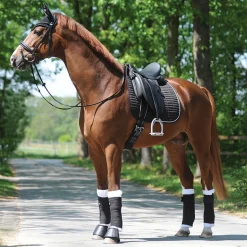PEP-KAVALKADE Kavalkade KavalEasy Rhinestone Dressage Pad- Close Contact Saddle Pads|Dressage Pads