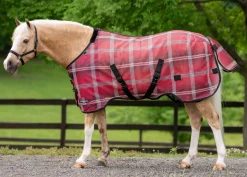 KENSINGTON ™ Draft Protective Sheet SureFit®- Fly Control|Fly Sheets