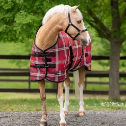 KENSINGTON ™ Draft Protective Sheet SureFit®- Fly Control|Fly Sheets