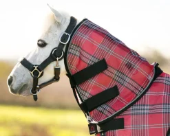 KENSINGTON ™ Mini Protective Neck Cover- Turnout Blankets
