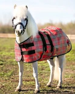 KENSINGTON ™ Mini Signature Textilene® Protective Fly Sheet- Fly Control|Fly Sheets