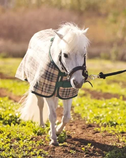 KENSINGTON ™ Mini Signature Textilene® Protective Fly Sheet- Fly Control|Fly Sheets