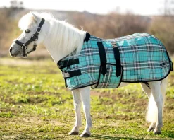 KENSINGTON ™ Mini Signature Textilene® Protective Fly Sheet- Fly Control|Fly Sheets