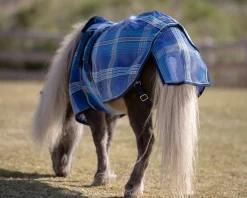 KENSINGTON ™ Mini Signature Textilene® Protective Fly Sheet- Fly Control|Fly Sheets