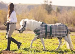 KENSINGTON ™ Mini Signature Textilene® Protective Fly Sheet- Fly Control|Fly Sheets