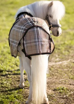 KENSINGTON ™ Mini Signature Textilene® Protective Fly Sheet- Fly Control|Fly Sheets