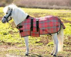 KENSINGTON ™ Mini Signature Textilene® Protective Fly Sheet- Fly Control|Fly Sheets