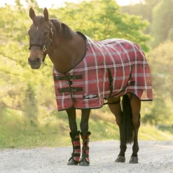 KENSINGTON ™ Pony Protective Sheet SureFit®- Fly Control|Fly Sheets