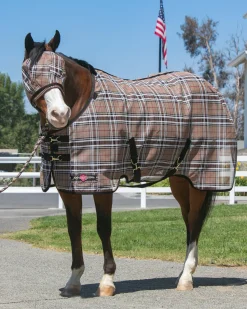 KENSINGTON ™ Pony Protective Sheet SureFit®- Fly Control|Fly Sheets