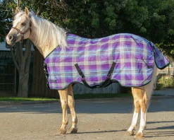 KENSINGTON ™ Pony Protective Sheet SureFit®- Fly Control|Fly Sheets