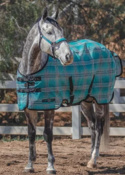 KENSINGTON ™ Pony Protective Sheet SureFit®- Fly Control|Fly Sheets