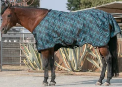 KENSINGTON ™ Pony Signature Medium Weight Turnout Blanket- Turnout Blankets