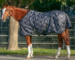 KENSINGTON ™ Pony Signature Medium Weight Turnout Blanket- Turnout Blankets