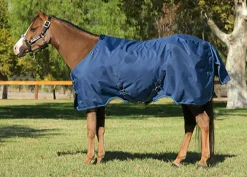 KENSINGTON ™ Pony Signature Medium Weight Turnout Blanket- Turnout Blankets