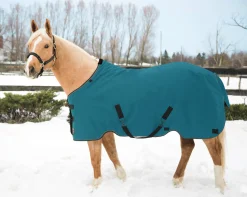 KENSINGTON ™ Pony Signature Medium Weight Turnout Blanket- Turnout Blankets