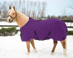 KENSINGTON ™ Pony Signature Heavyweight Turnout Blanket- Turnout Blankets