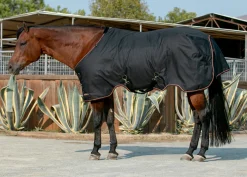 KENSINGTON ™ Pony Signature Heavyweight Turnout Blanket- Turnout Blankets