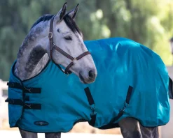 KENSINGTON ™ Pony Signature Heavyweight Turnout Blanket- Turnout Blankets