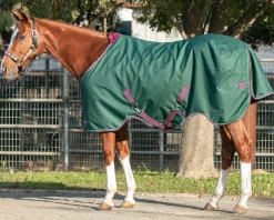 KENSINGTON ™ Pony Signature Lightweight Turnout Blanket- Turnout Blankets