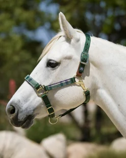 KENSINGTON ™ Premium Breakaway Halter- Halters