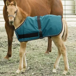 KENSINGTON ™ Signature Adjustable Large Foal Turnout- Turnout Blankets