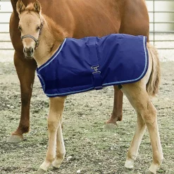 KENSINGTON ™ Signature Adjustable Large Foal Turnout- Turnout Blankets