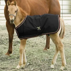KENSINGTON ™ Signature Adjustable Small Foal Turnout Blanket- Turnout Blankets
