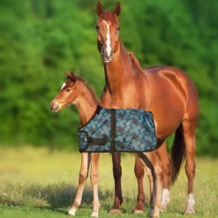 KENSINGTON ™ Signature Adjustable Small Foal Turnout Blanket- Turnout Blankets
